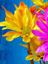 demo_003test
